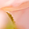 Blush ketubah by Daniel Sroka