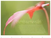 The 'Sunlight' fine art ketubah by Daniel Sroka