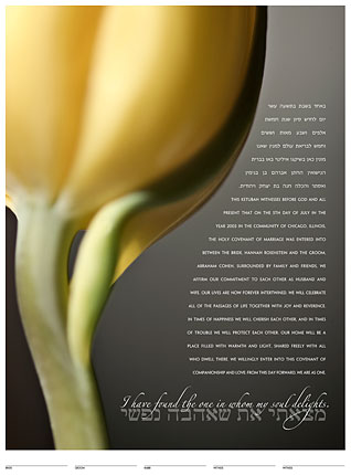 A ketubah made from a Tulip �Daniel Sroka