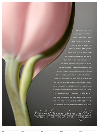 Tulip (pink) ketubah by Daniel Sroka
