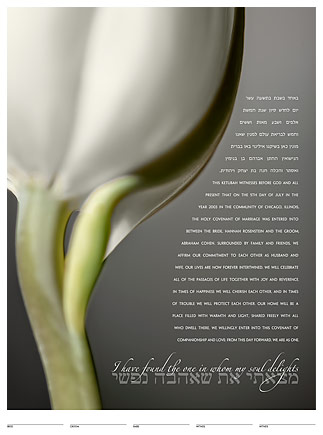 Tulip (white) ketubah by Daniel Sroka