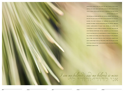 Evergreen ketubah by Daniel Sroka