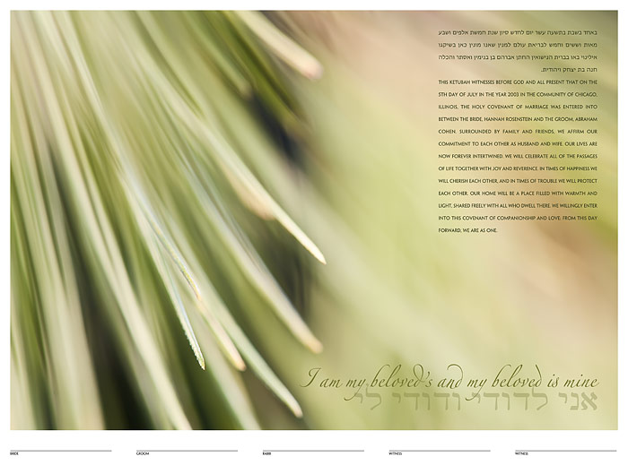 The Evergreen Ketubah: a fine art ketubah created by Daniel Sroka of ModernKetubah.com for couples of all faiths and cultures.