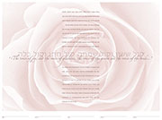See my spring ketubah designs