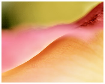 Sunrise ketubah by Daniel Sroka