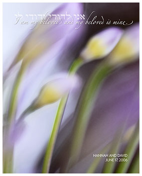 a fine art gift print of your ketubah