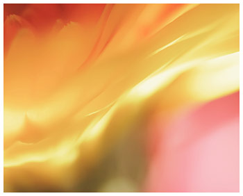 Fire ketubah by Daniel Sroka