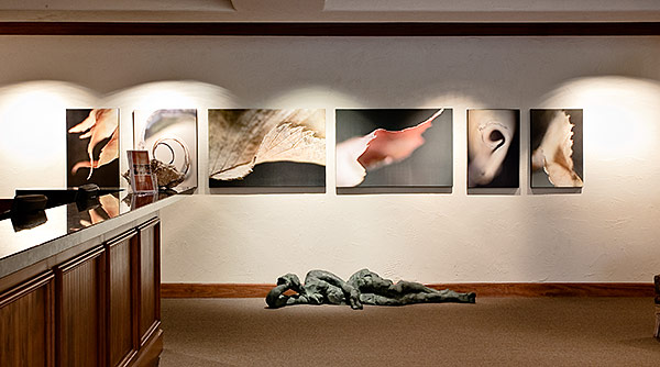 Daniel Sroka's botanical abstract photography at the Miraval Tucson Resort and Spa.