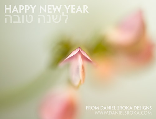 Happy New Year! L'Shonah Tovah!