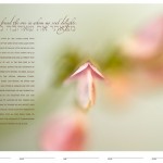 New ketubah designs for 2008