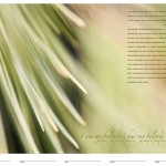 Our ketubah is absolutely stunning!