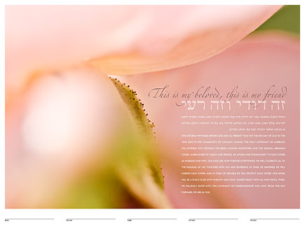 Blush ketubah by Daniel Sroka