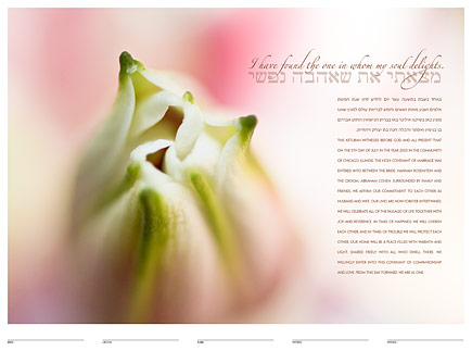 Stargazer Bud ketubah by Daniel Sroka