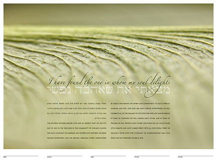 Maple Seed ketubah by Daniel Sroka