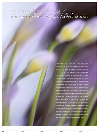 African Lily ketubah by Daniel Sroka