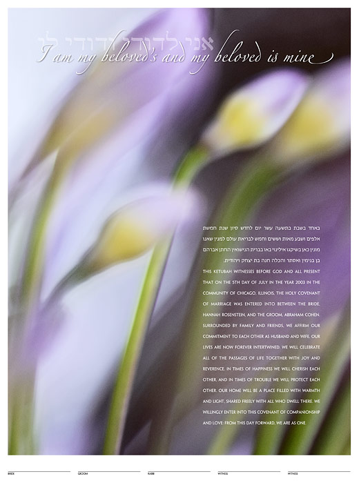 The African Lily Ketubah: a fine art ketubah created by Daniel Sroka of ModernKetubah.com for couples of all faiths and cultures.